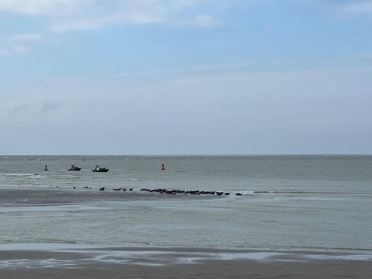 Plage A 50M Appartement Reves Bleus Villa Les Bains De Mers 외부 사진